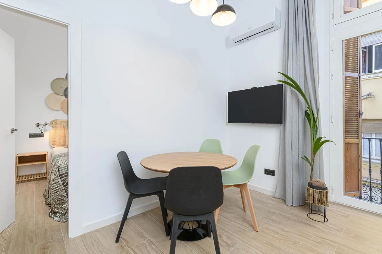 Wintowinrentals Estupendo Apartamento En El Centro Historico De Malaga 0*,  Spain